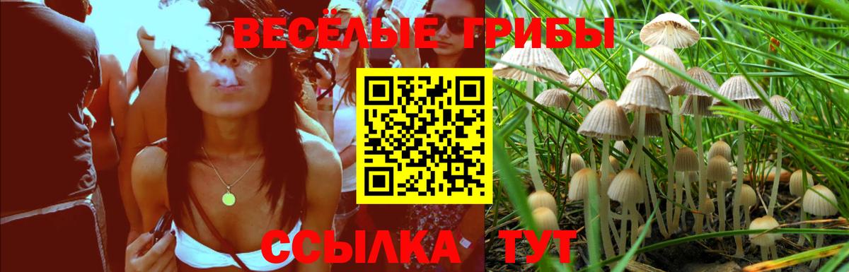 Елец  Псилоцибиновые грибы Cubensis  Вход с VPN 
